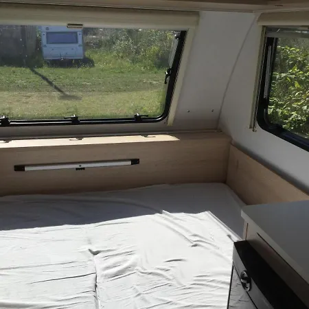 Campingplads Ostlicht Camper Im Waldchen