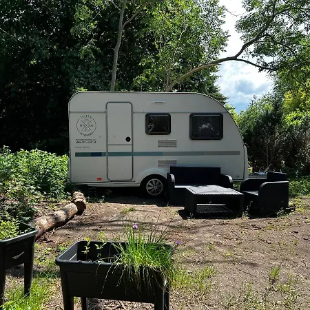 Ostlicht Camper Im Waldchen Campingplads Altefähr