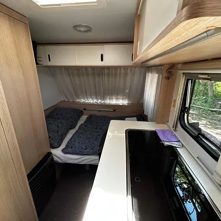 Campingplads Ostlicht Camper Im Waldchen Altefähr