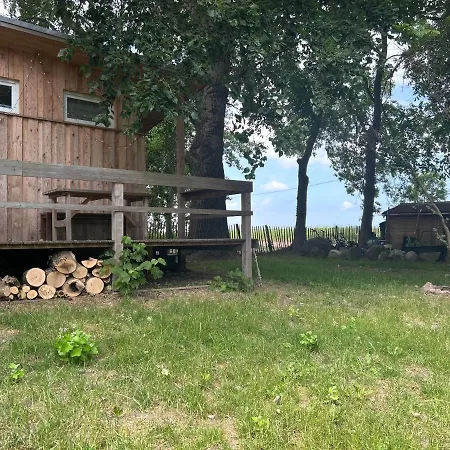 Ostlicht Camper Im Waldchen Altefähr