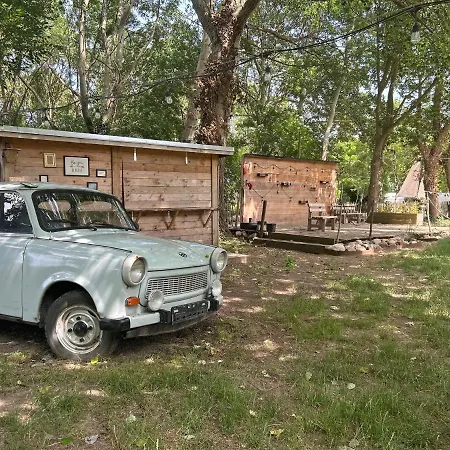Ostlicht Camper Im Waldchen